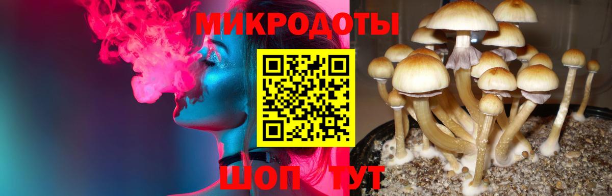 Псилоцибиновые грибы Psilocybe  Вход с VPN  Нерюнгри 